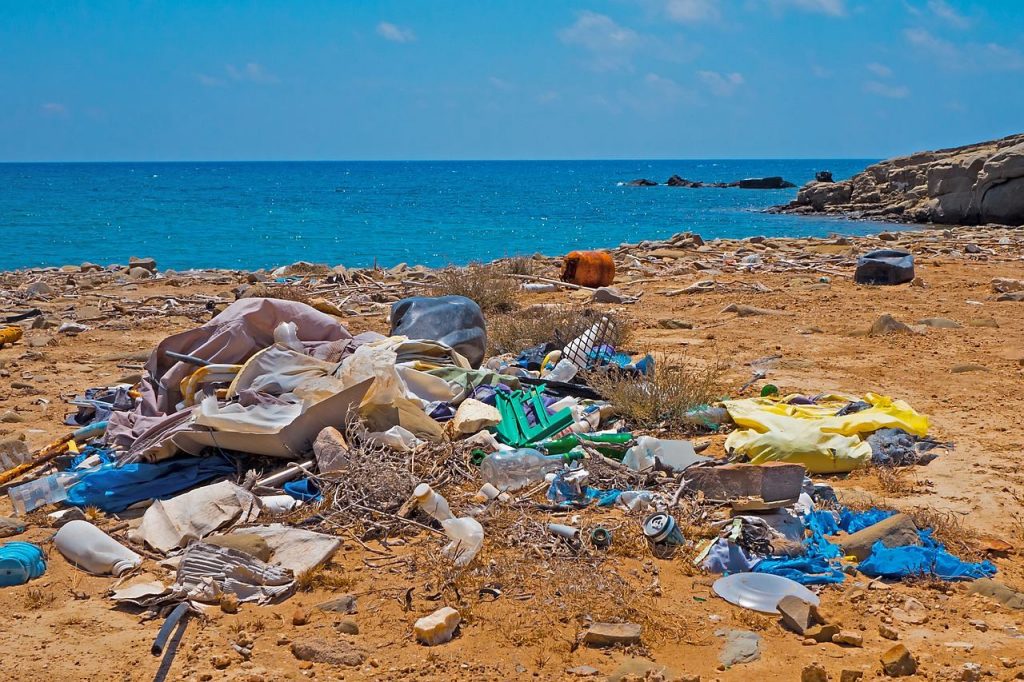 Las toneladas de plásticos y otros productos que diariamente son vertidas al mar, está acabando con la vida en nuestro planeta. 